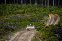15 - SS1-10