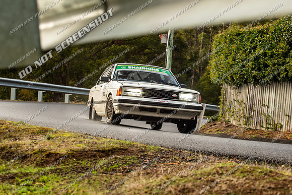 562 - TS31 - Pelverata - GS