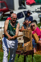 - WoodChopping-5