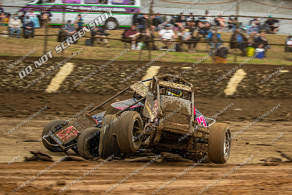 Wingless 42 T42 - Friday-4