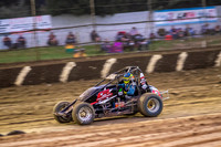 Wingless 42 T42 - Friday-8