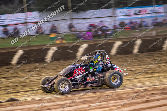 Wingless 42 T42 - Friday-8