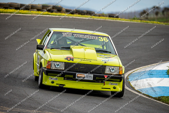Muscle Car Cup Over 3501cc - 36 Kodie Madden - Sunday - 2nd October 2016-10