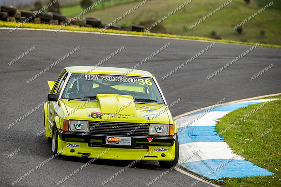 Muscle Car Cup Over 3501cc - 36 Kodie Madden - Sunday - 2nd October 2016-9
