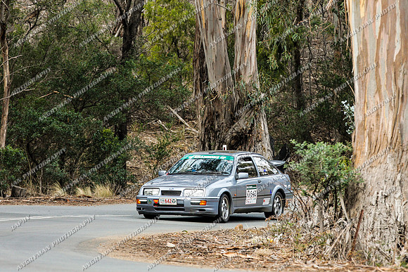 642 - 5 - Grasstree Hill - RM