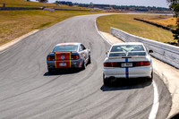 Sports GT 54 - TCRC Rnd 1 - 24th Feb 2019-11