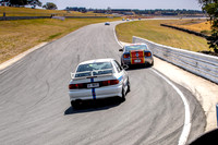 Sports GT 54 - TCRC Rnd 1 - 24th Feb 2019-9