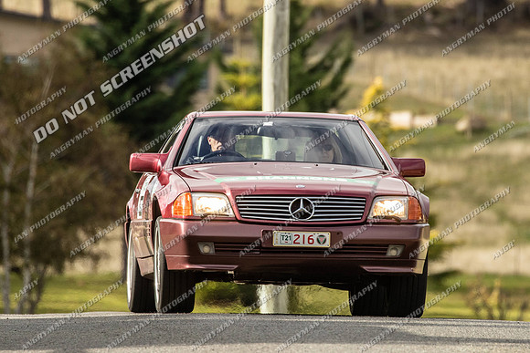 216 - TS33 - Cygnet - JL