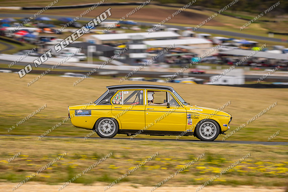 Regularity Sedans - 525 - Baskerville Historics 2024-2