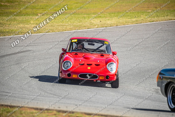 Regularity Sports & Racing & Invited - 250 - Baskerville Historics 2024-5