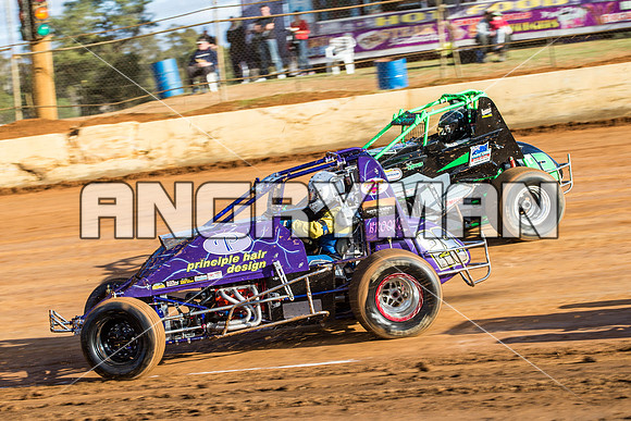 wingless 28 t28 - 30 - Carrick - 3rd April 2015-2