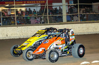 wingless 5 t5 - 28 - Latrobe - 28th March 2015-2