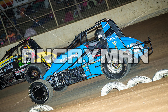 wingless 31 t31 - 28 - Latrobe - 28th March 2015-6