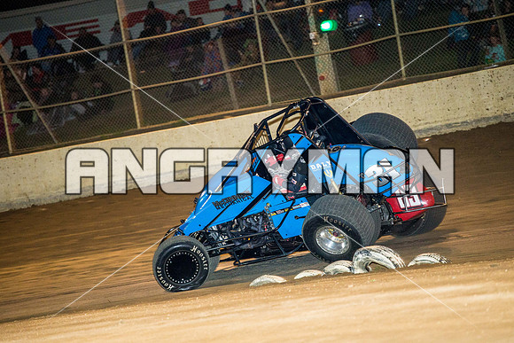 wingless 31 t31 - 28 - Latrobe - 28th March 2015-10