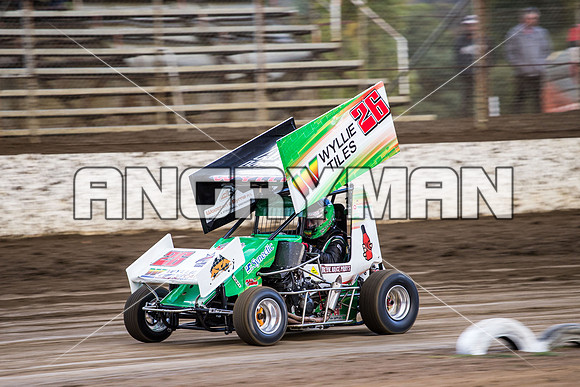 formula 500 26 t26 jason wyllie - 26 - Hobart - 14th March 2015