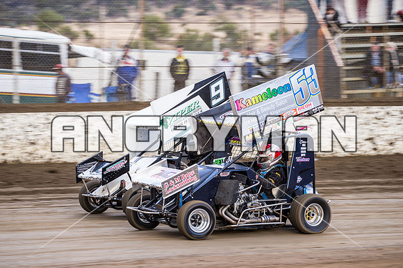 formula 500 53 t53 stuart pearton - 26 - Hobart - 14th March 2015