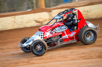 wingless 6 t6 chris breen-2
