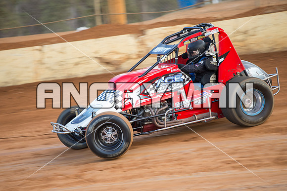 wingless 6 t6 chris breen-2