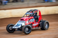 wingless 6 t6 chris breen-3