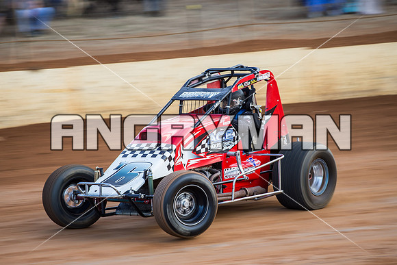 wingless 6 t6 chris breen-3