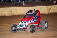 wingless 6 t6 chris breen-4