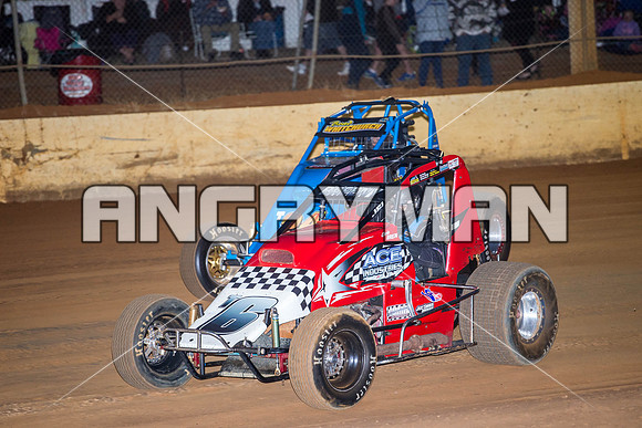 wingless 6 t6 chris breen-5