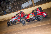 wingless 6 t6 chris breen-6