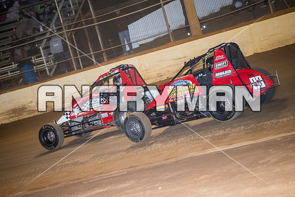 wingless 6 t6 chris breen-6