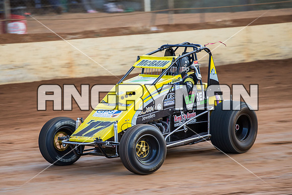 wingless 17 t17 hadyn mcbain-4