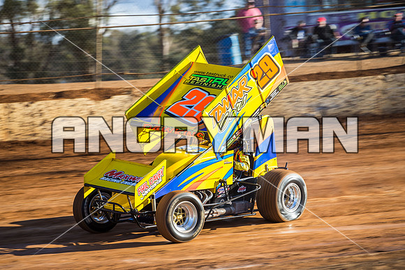 sprintcar 29 t29 robin dawkins