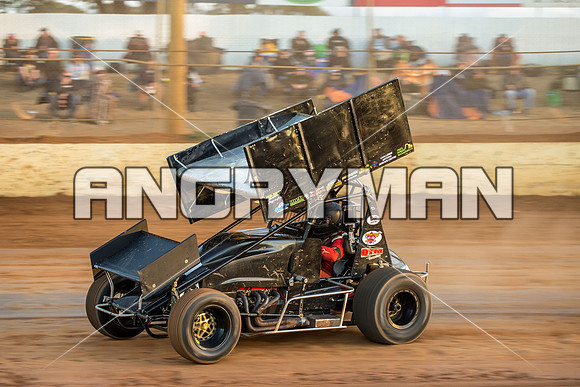 sprintcar 41 t41 damian robins