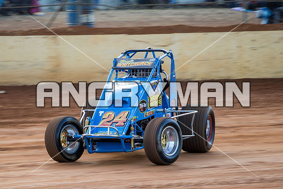 wingless 24 t24 brad whitchurch-3