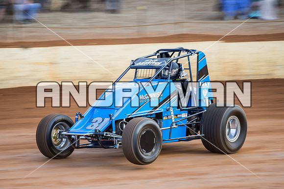 wingless 31 t31 peter griffiths-2