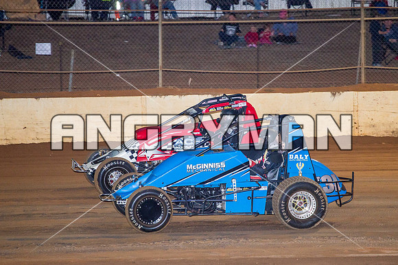 wingless 31 t31 peter griffiths-4