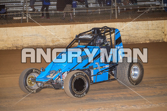wingless 31 t31 peter griffiths-5