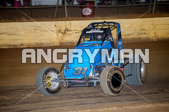 wingless 31 t31 peter griffiths-6