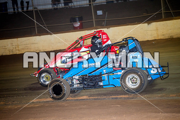 wingless 31 t31 peter griffiths-7