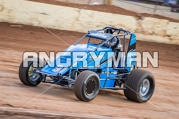 wingless 31 t31 peter griffiths