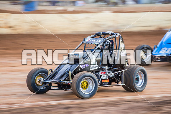wingless 46 t46-3