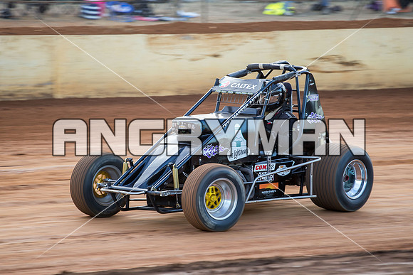 wingless 46 t46