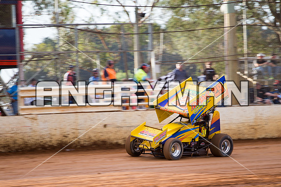 sprintcar 29 t29 robin dawkins-4