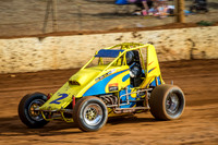 Wingless