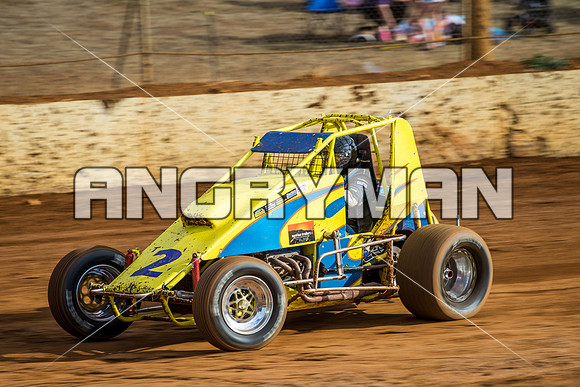 wingless 2 t2-2