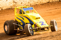 wingless 2 t2-3