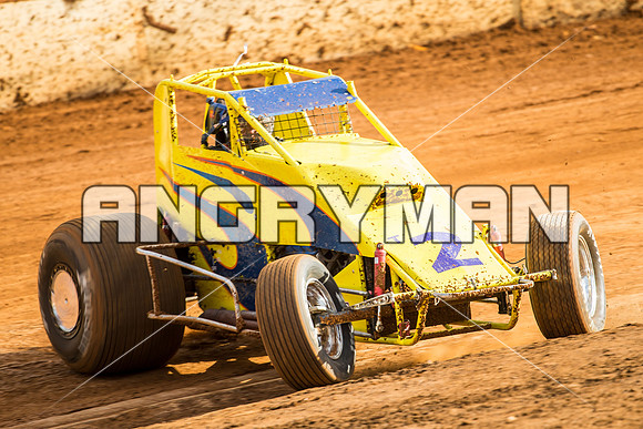 wingless 2 t2-3