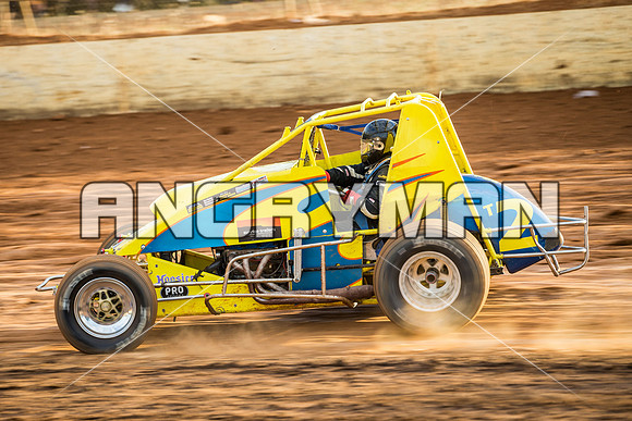 wingless 2 t2-4