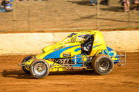 wingless 2 t2