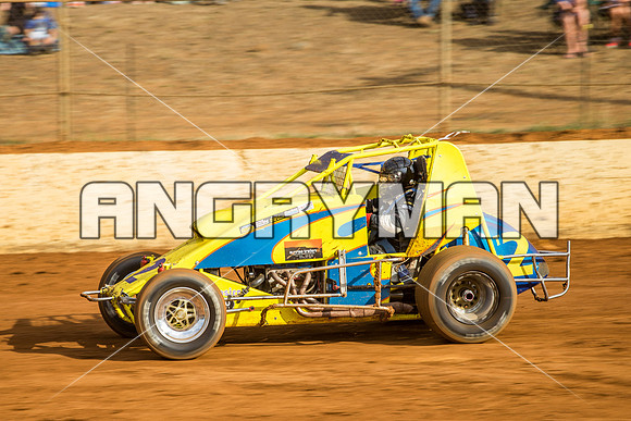 wingless 2 t2