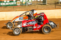 wingless 6 t6 chris breen-2