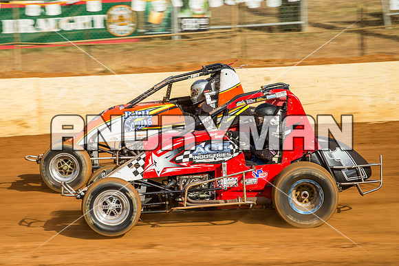 wingless 6 t6 chris breen-2